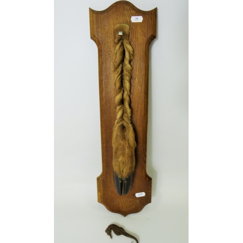 79 - Original Deers foot mounted on an oak board Plaque. Made by Deyrole of Paris. Comes with a small Dri... 