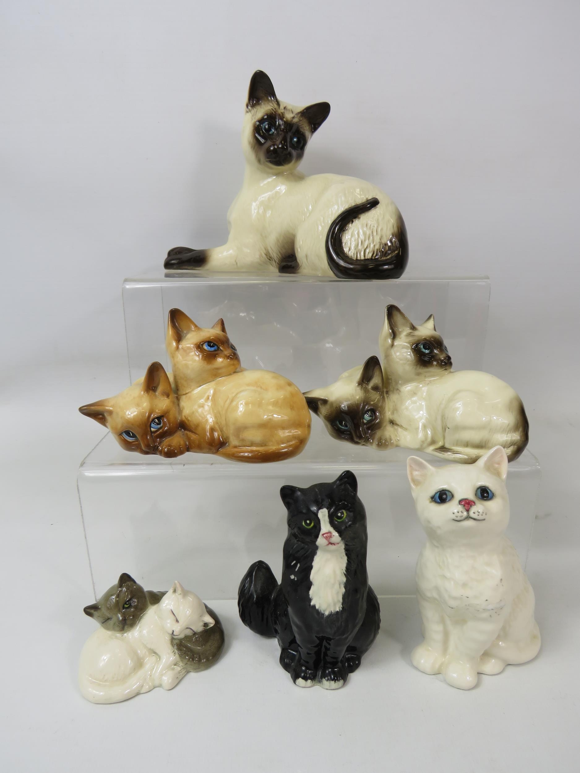 Selection of Beswick and Royal Doulton Cat figurines. (one has a chip