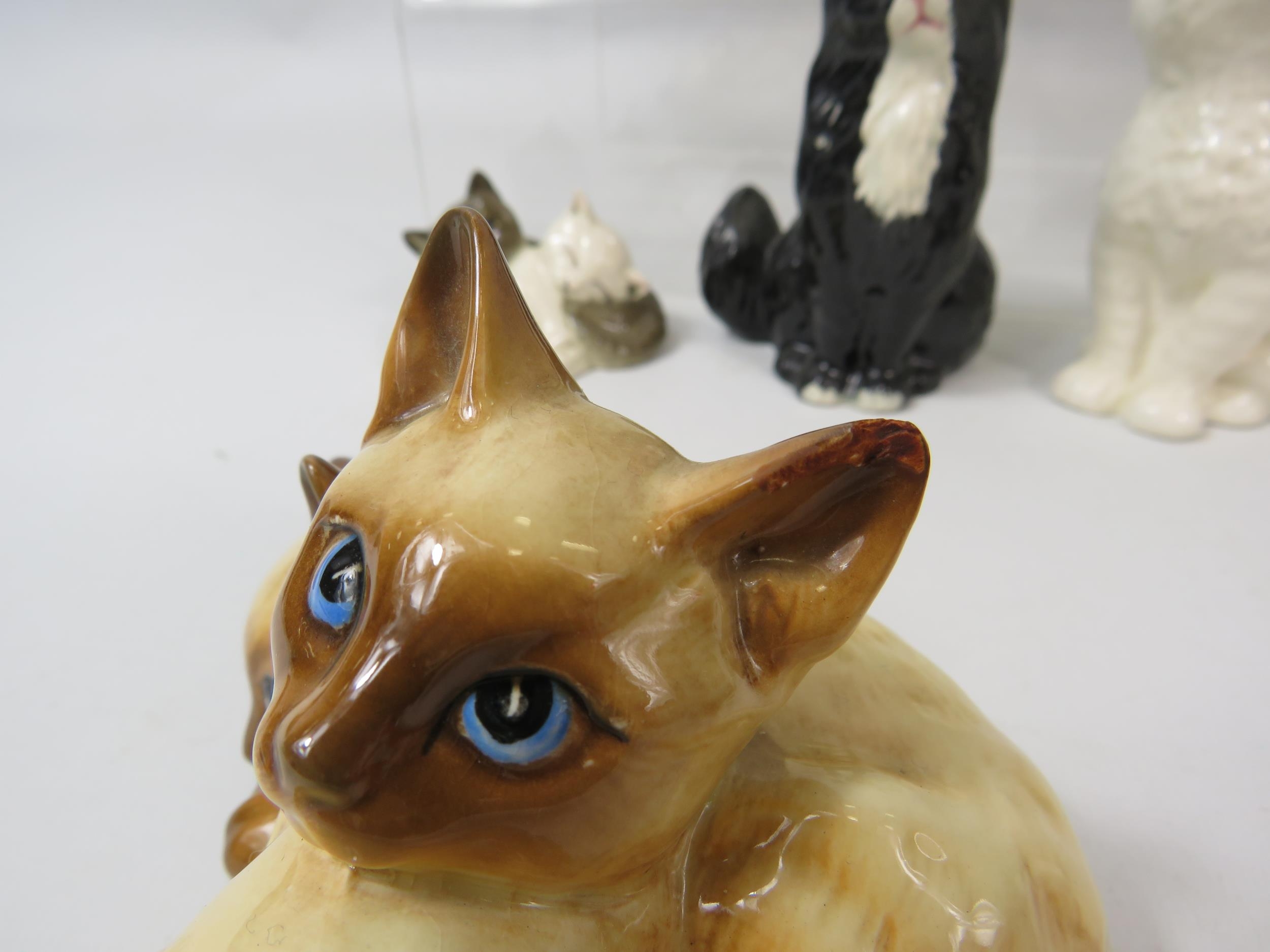 Selection of Beswick and Royal Doulton Cat figurines. (one has a chip