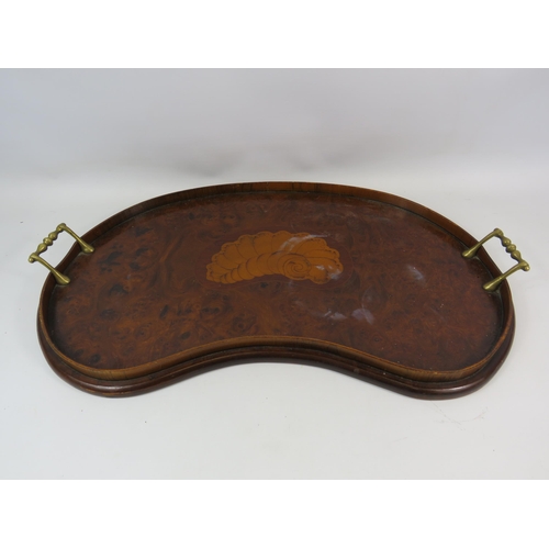 482 - Vintage kidney shaped tray with brass handles, 58cm by 30cm.