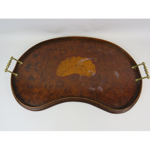 482 - Vintage kidney shaped tray with brass handles, 58cm by 30cm.