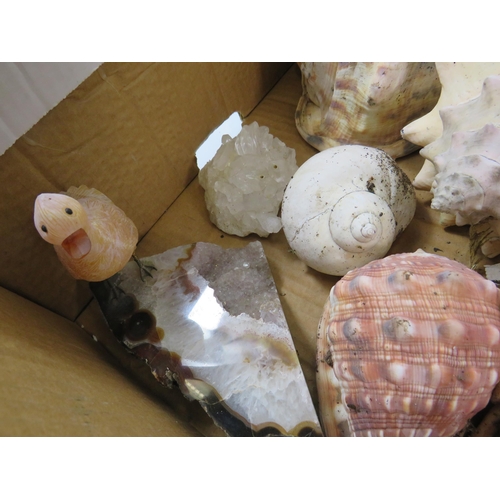 759 - Large box of various Sea shells, coral and quartz stones.