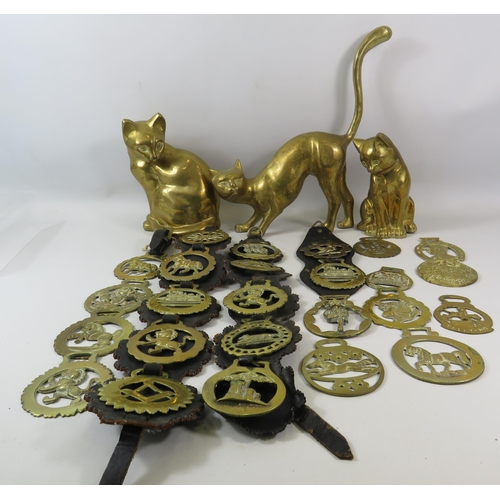 3 Large brass cat figures and a selection of horse brasses.