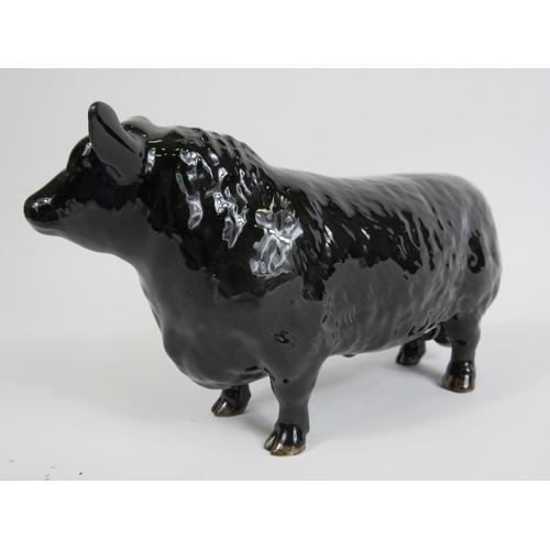 41 - Beswick Aberdeen Angus bull figurine, 11cm tall & 19.5cm long