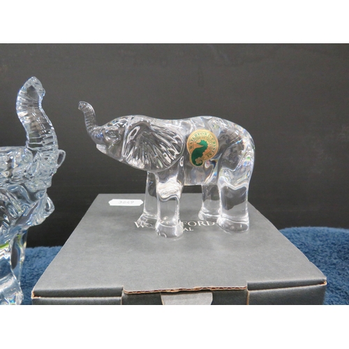 139 - Large and small waterford crystal elephant figurines. One with box.