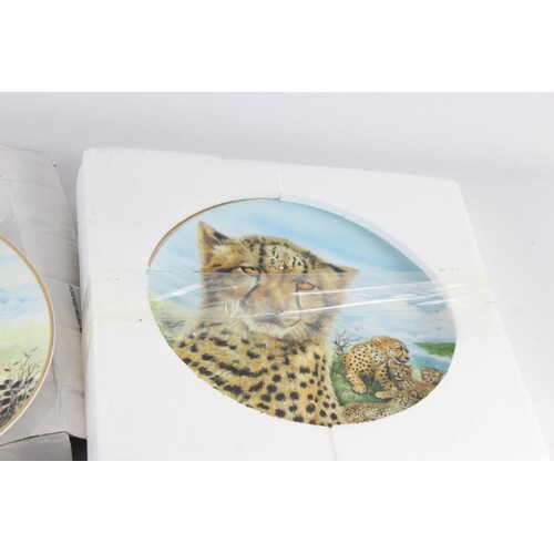 547 - Collectable Plates Boxed Inc Bradford Exchange, Wildcats x 4      700172