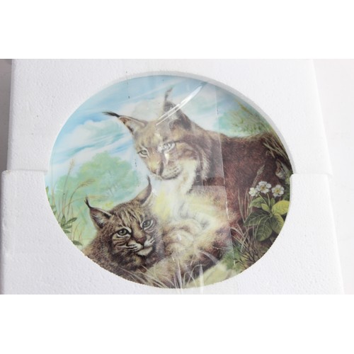 547 - Collectable Plates Boxed Inc Bradford Exchange, Wildcats x 4      700172