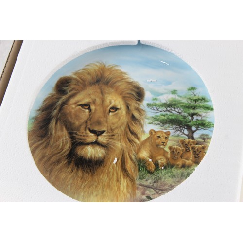 547 - Collectable Plates Boxed Inc Bradford Exchange, Wildcats x 4      700172