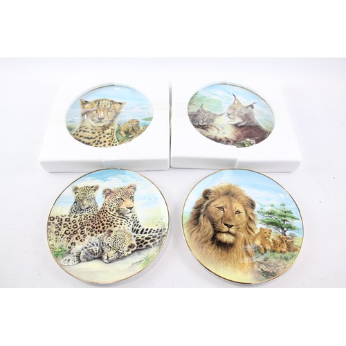 547 - Collectable Plates Boxed Inc Bradford Exchange, Wildcats x 4      700172