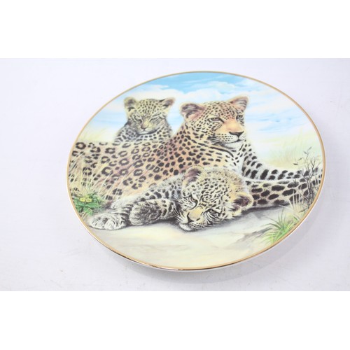 547 - Collectable Plates Boxed Inc Bradford Exchange, Wildcats x 4      700172