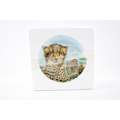 547 - Collectable Plates Boxed Inc Bradford Exchange, Wildcats x 4      700172