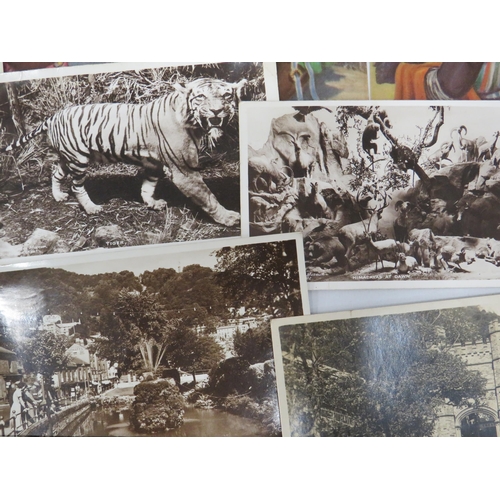 1585 - Good Selection of postcards to include Topographical. Big Game, some photo.   South African by Kent ... 