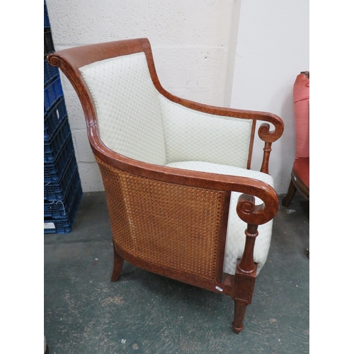 297 - Pretty Edwardian Style Reproduction Tub style chair with Bergere sides in Maple veneer. Nicley uphol... 