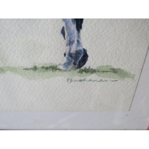 404 - Original Acrylic on Canvas by Gina Hawkshaw of a Dressage Horse 'What's Next'    22 x 19 inches toge... 