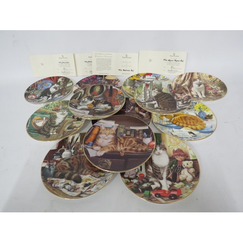 427 - 12 Royal Doulton cat plates with certs.