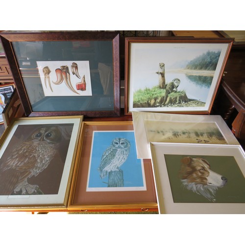 393 - Selection of Framed Animal and Nature prints.