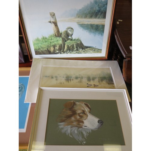 393 - Selection of Framed Animal and Nature prints.