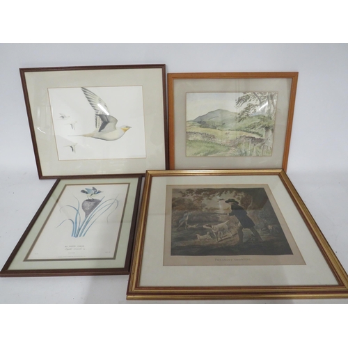 465 - Hand drawn picture of a bird in flight, a water colour of a field scene and 2 framed prints.