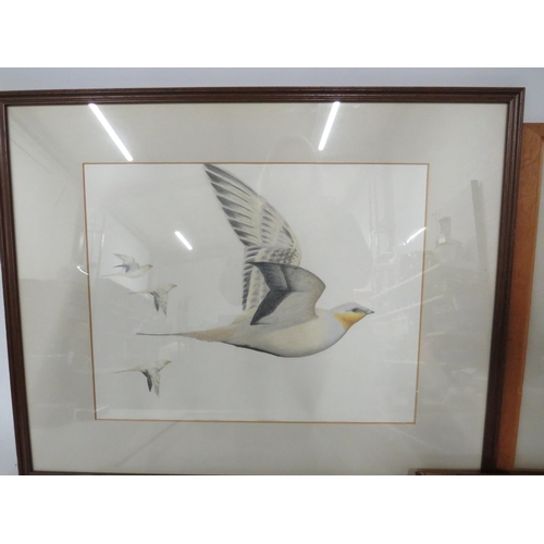 465 - Hand drawn picture of a bird in flight, a water colour of a field scene and 2 framed prints.