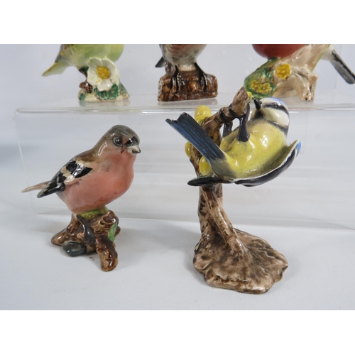 48 - Selection of Bird Figurines by Goebel, Beswick, Aynsley and Royal Adderley..