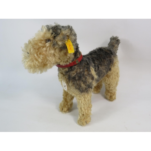 97 - Steiff 1935 Classic Fellow Airedale terrier dog teddy bear, approx 11