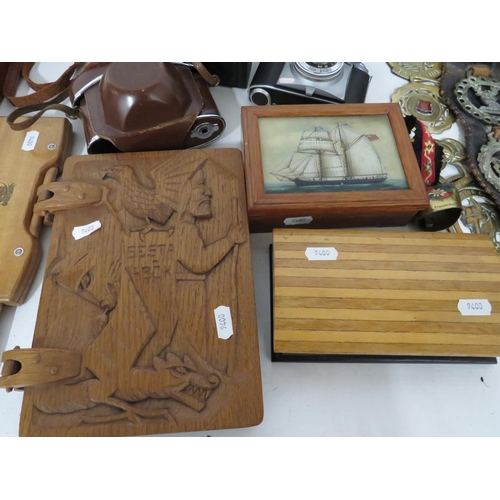 107 - Mixed lot to include interesting wooden boxes, Horse Brasses, Old Cameras etc. see photos.