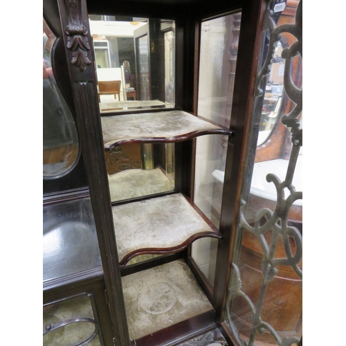 396 - Imposing Ebonised Victorian Gothic Revival Mirror backed display cabinet with three glass fronted do... 