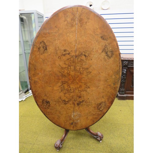 424 - Late Victorian Tilt Top Table with Oval Walnut Veneer top. Heavy Mahogany base with four curved legs... 