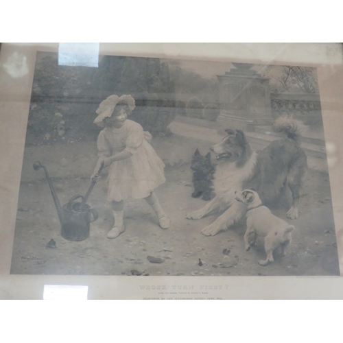 444 - Four Victorian monochgromeprints of pets. All framed under glass. Largest measures 32 x 42 inches