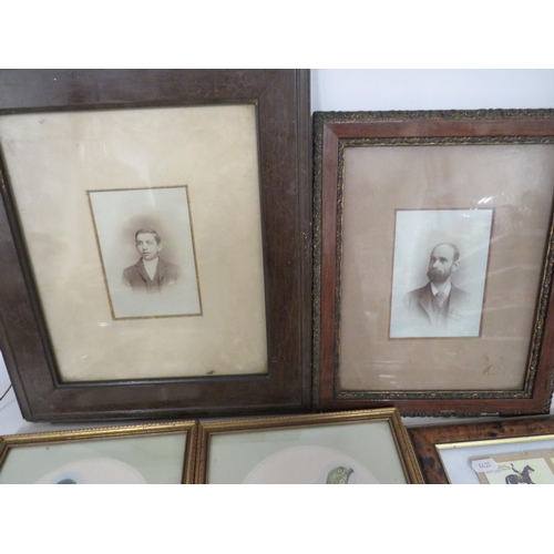 468 - Good Mixed lot to include King Bros Cig cards framed,  Mirror, Prints of British Raptors. See photos... 