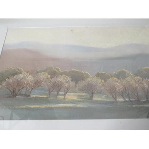 469 - Two well painted Watercolours, both framed and mounted. Largest measures 30 x 18 inches. See photos.