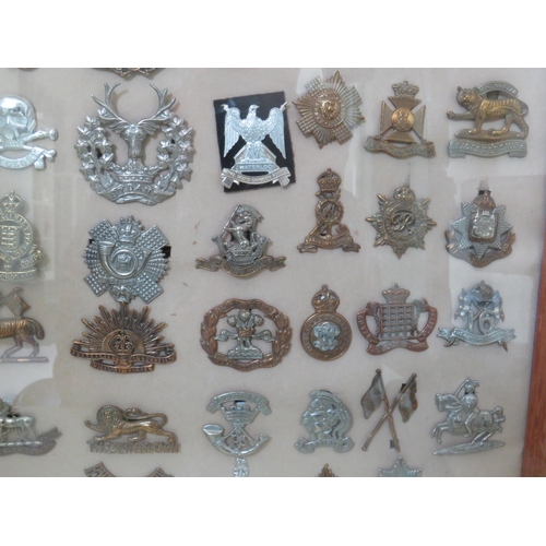 463 - Framed and mounted under glass selection of British Army Cap Badges. Age and Provenance unknown. Fra... 