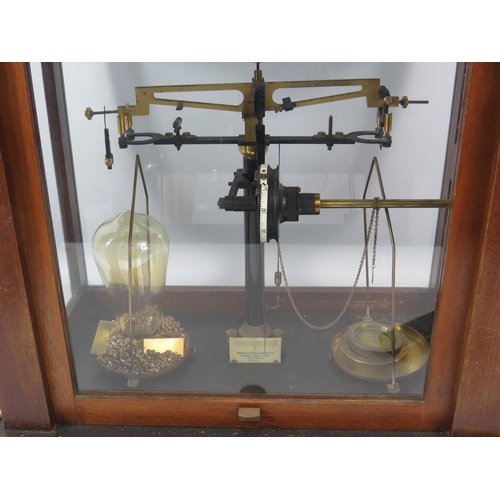 458 - Vintage Baird and Tatlock scientific scales in glass and wooden case converted to a lamp. 15.5