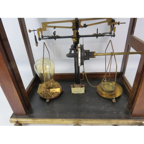 458 - Vintage Baird and Tatlock scientific scales in glass and wooden case converted to a lamp. 15.5