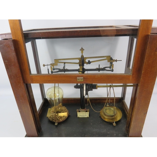 458 - Vintage Baird and Tatlock scientific scales in glass and wooden case converted to a lamp. 15.5