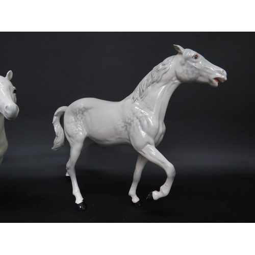 56 - Beswick Connamara and Spirit of Fire dapple grey horse figurines.