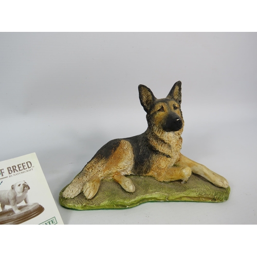 78 - Nature craft Labrador figurine on wooden base plus a German shephard figurine.