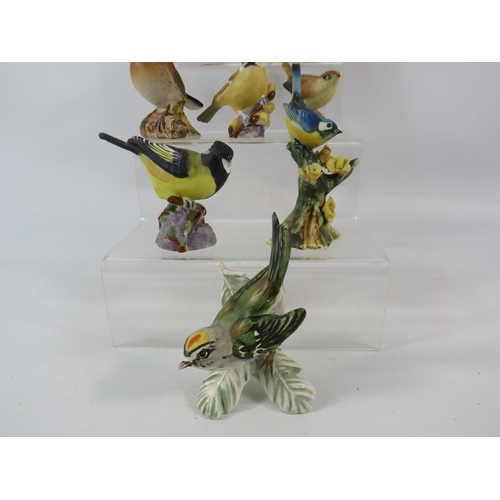 161 - Selection of bird figurines by Royal Worcester, Beswick, Goebel, Capodimonte etc.