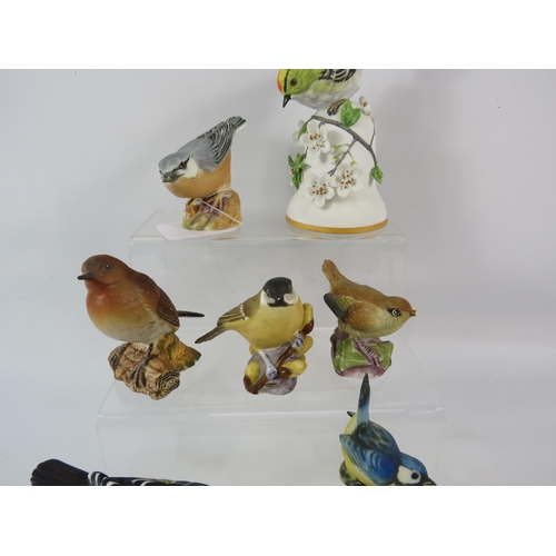 161 - Selection of bird figurines by Royal Worcester, Beswick, Goebel, Capodimonte etc.