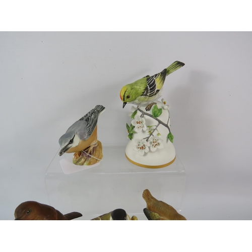 161 - Selection of bird figurines by Royal Worcester, Beswick, Goebel, Capodimonte etc.