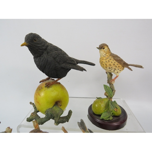 187 - Six Country Artist bird figurines.