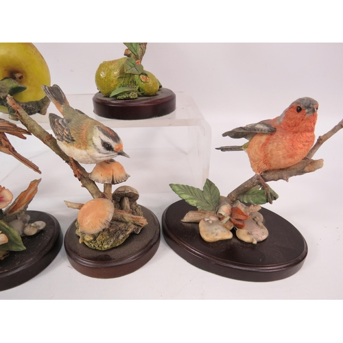 187 - Six Country Artist bird figurines.