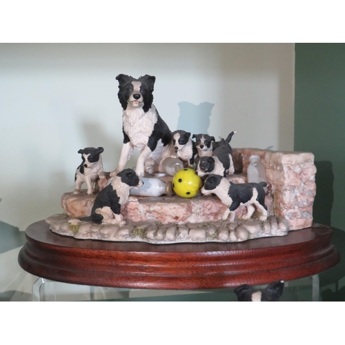 249 - Three Border fine arts Border Collie figurines plus one other.