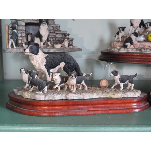 249 - Three Border fine arts Border Collie figurines plus one other.