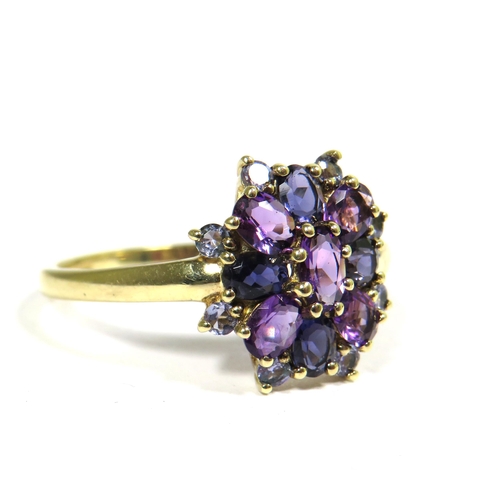 325 - 9ct Yellow Gold Ring set with Tanzanite and Amethysts in a Flower Pattern. Finger size 'W'    2.9g