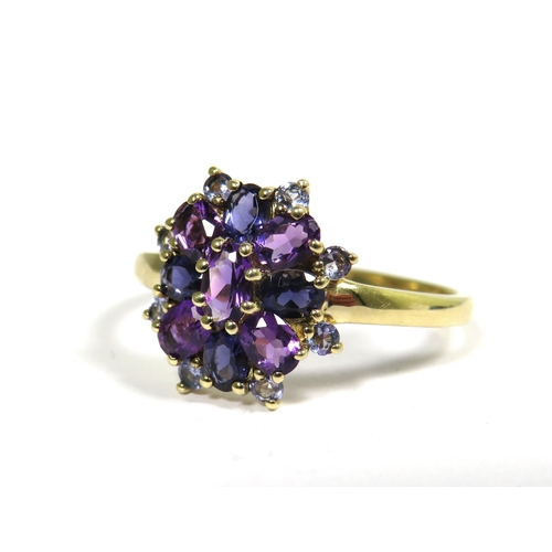 325 - 9ct Yellow Gold Ring set with Tanzanite and Amethysts in a Flower Pattern. Finger size 'W'    2.9g