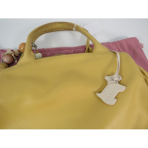 288 - Ladies Radley handbag in used condition with storage bag.