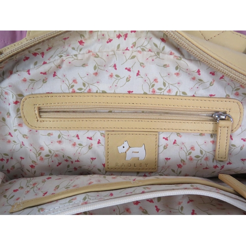 288 - Ladies Radley handbag in used condition with storage bag.