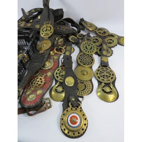 739 - Large selection of antique and vintage horse brasses and leathers/martingales etc.