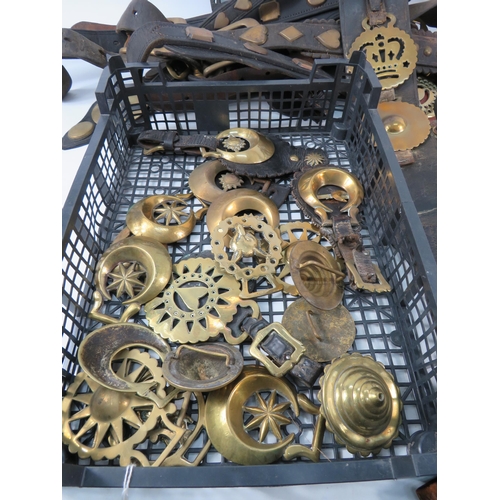 739 - Large selection of antique and vintage horse brasses and leathers/martingales etc.